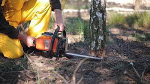 Best Lawn Watering Services  in Fairview, NJ